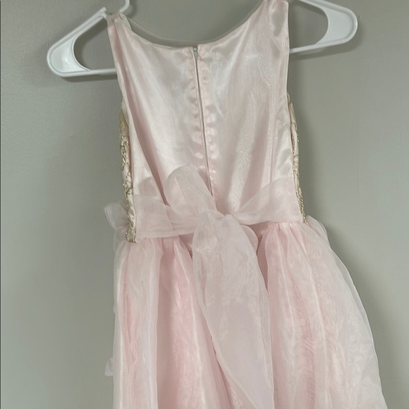 Elegant Pink and Gold Dress - Picture 6 of 9